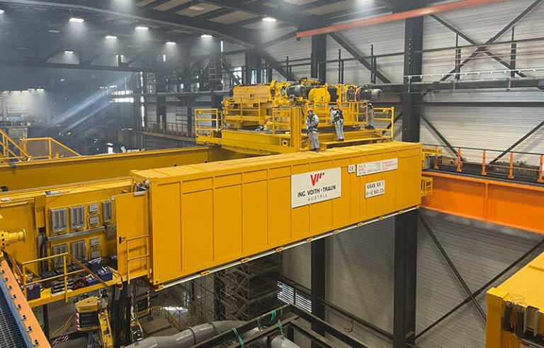 2022_MontageLaufkatze